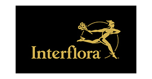 Interflora - Christmas Gifts