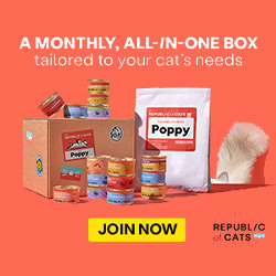 Republic of Cats - First 2 weeks taster box for £7.50